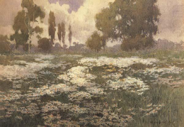 unknow artist Field of Daisies china oil painting image